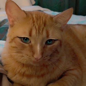 Meet your Posher, Regina